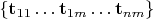 $\{ \mathbf t_{11} \dots  \mathbf t_{1m} \dots  \mathbf t_{nm} \}$