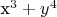 x^3 + y^4 x^3 + y^4