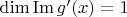 $\operatorname{dim} \operatorname{Im} g'(x) = 1$