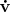 $\mathbf {\dot v$}