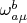 $\omega^{b}_{a \mu}$