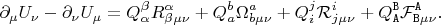 $$
\partial_{\mu} U_{\nu} - \partial_{\nu} U_{\mu} =
Q^{\beta}_{\alpha} R^{\alpha}_{\beta \mu \nu}
+ Q^{b}_{a} {\Omega}^{a}_{b \mu \nu}
+ Q^{j}_{i} {\mathcal R}^{i}_{j \mu \nu}
+ Q^{\tt B}_{\tt A} {\mathcal F}^{\tt A}_{{\tt B} \mu \nu}.
$$