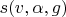 $s(v,\alpha,g)$
